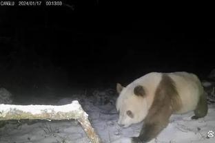 加克波迎利物浦生涯第50场里程碑，此前贡献14球5助攻